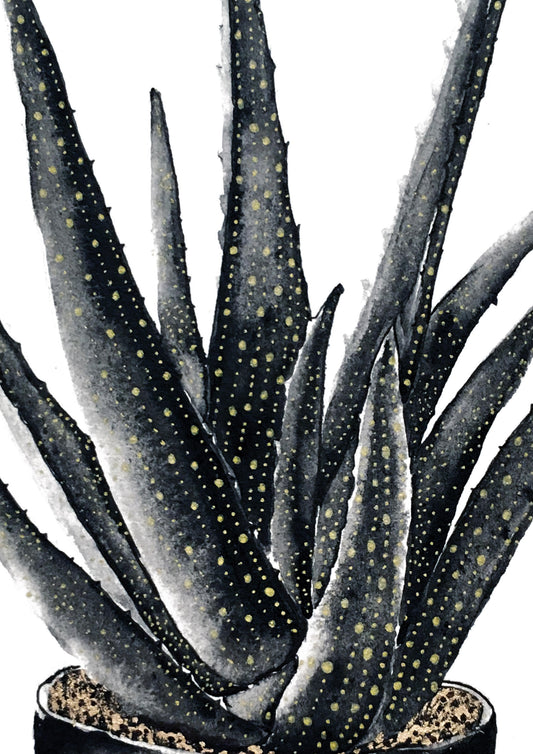 Affiche de plante Chaîne de coeurs, illustration botanique noir et or