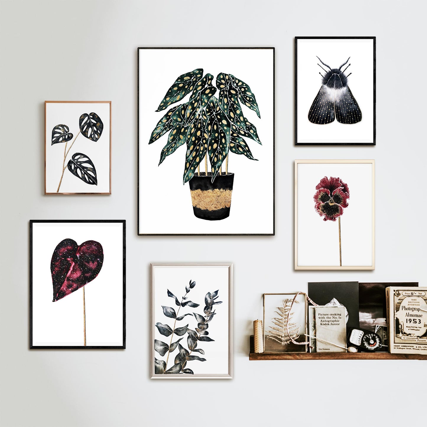 Affiche de plante Chaîne de coeurs, illustration botanique noir et or