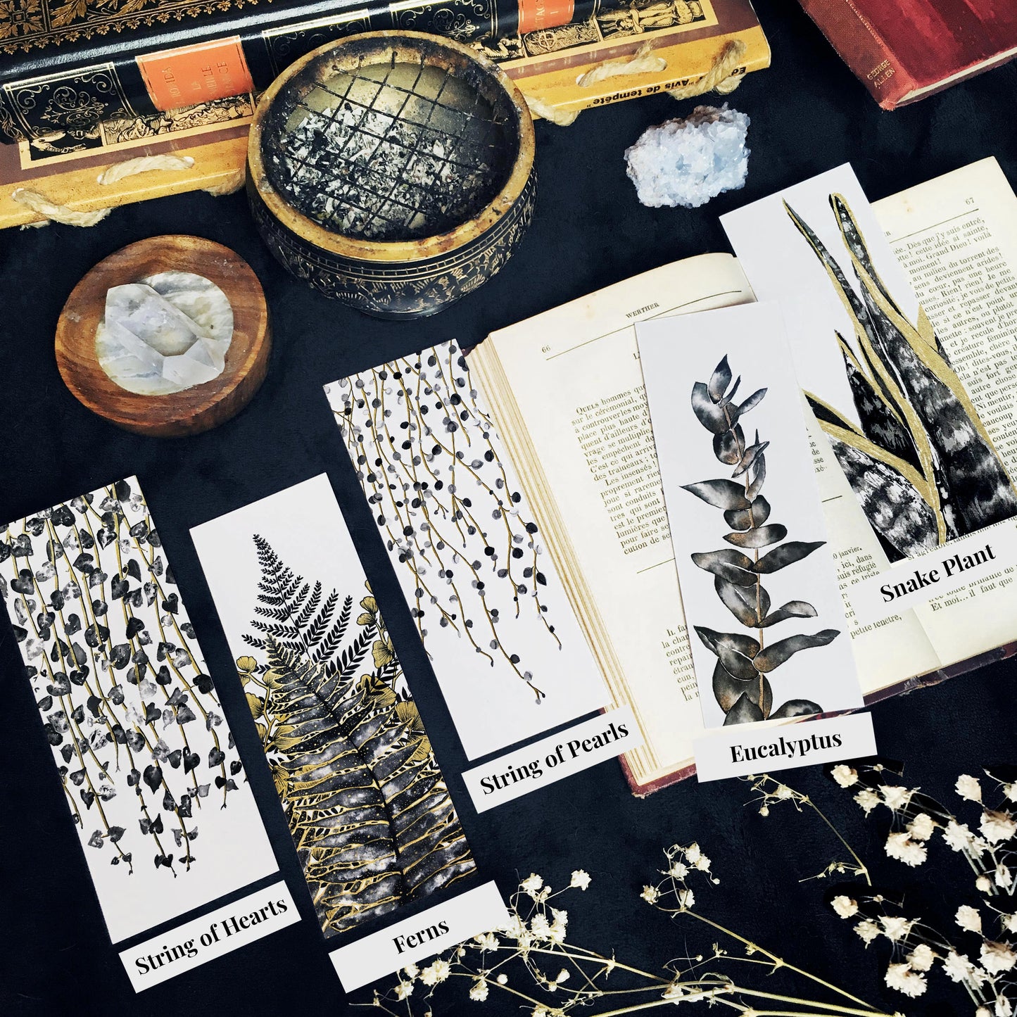 Marque Pages botaniques de plantes noir et or