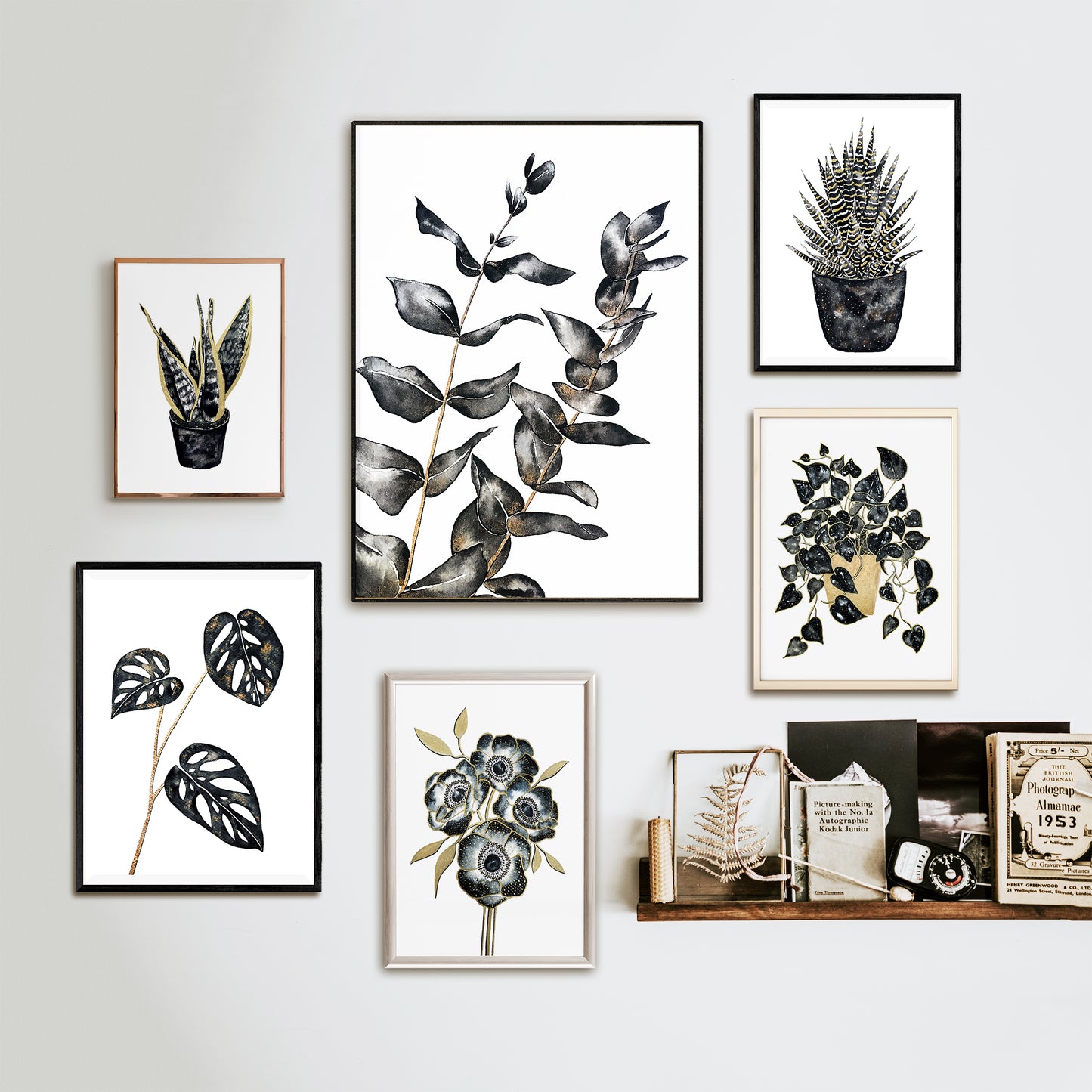 Affiche de plante Eucalyptus, illustration botanique noir et or