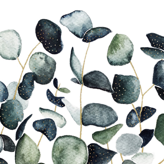 Affiche de plantes Eucalyptus, illustration botanique