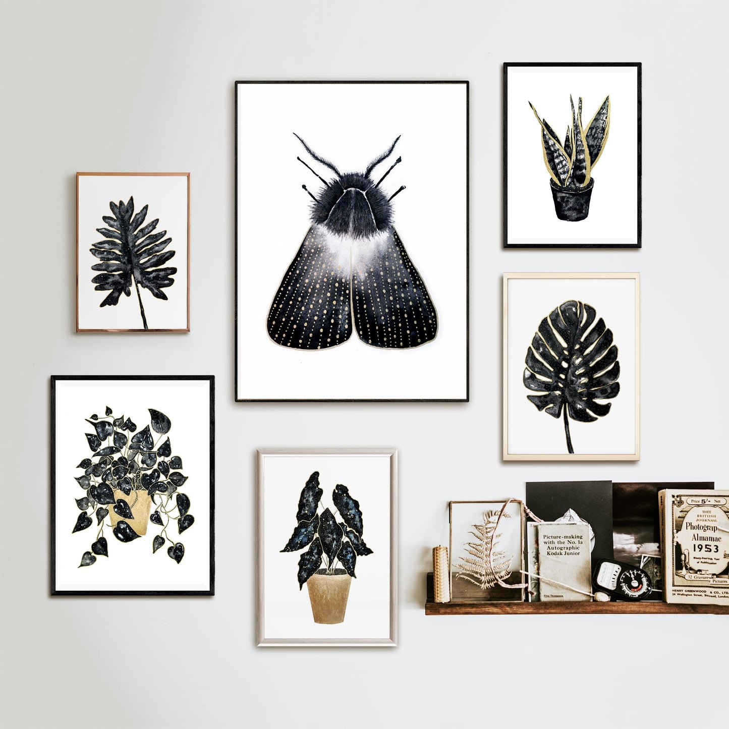 Affiche de Papillon de Nuit or et noir, Illustration d'insecte
