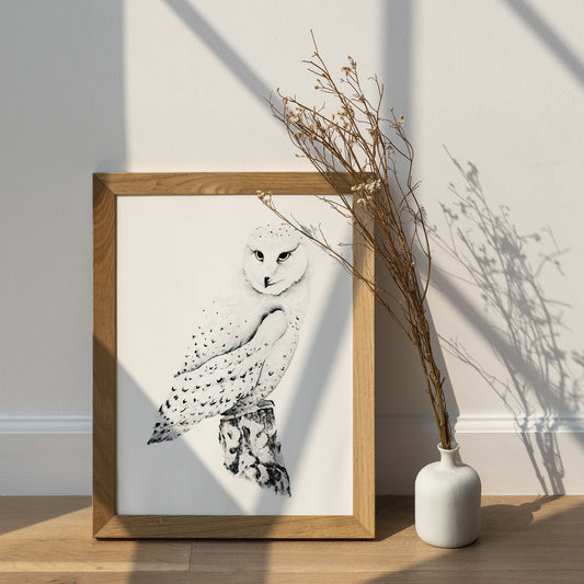 Affiche de Chouette Harfang