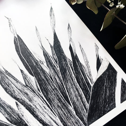 Affiche de plante tropicale, illustration botanique noir et blanc de palmier