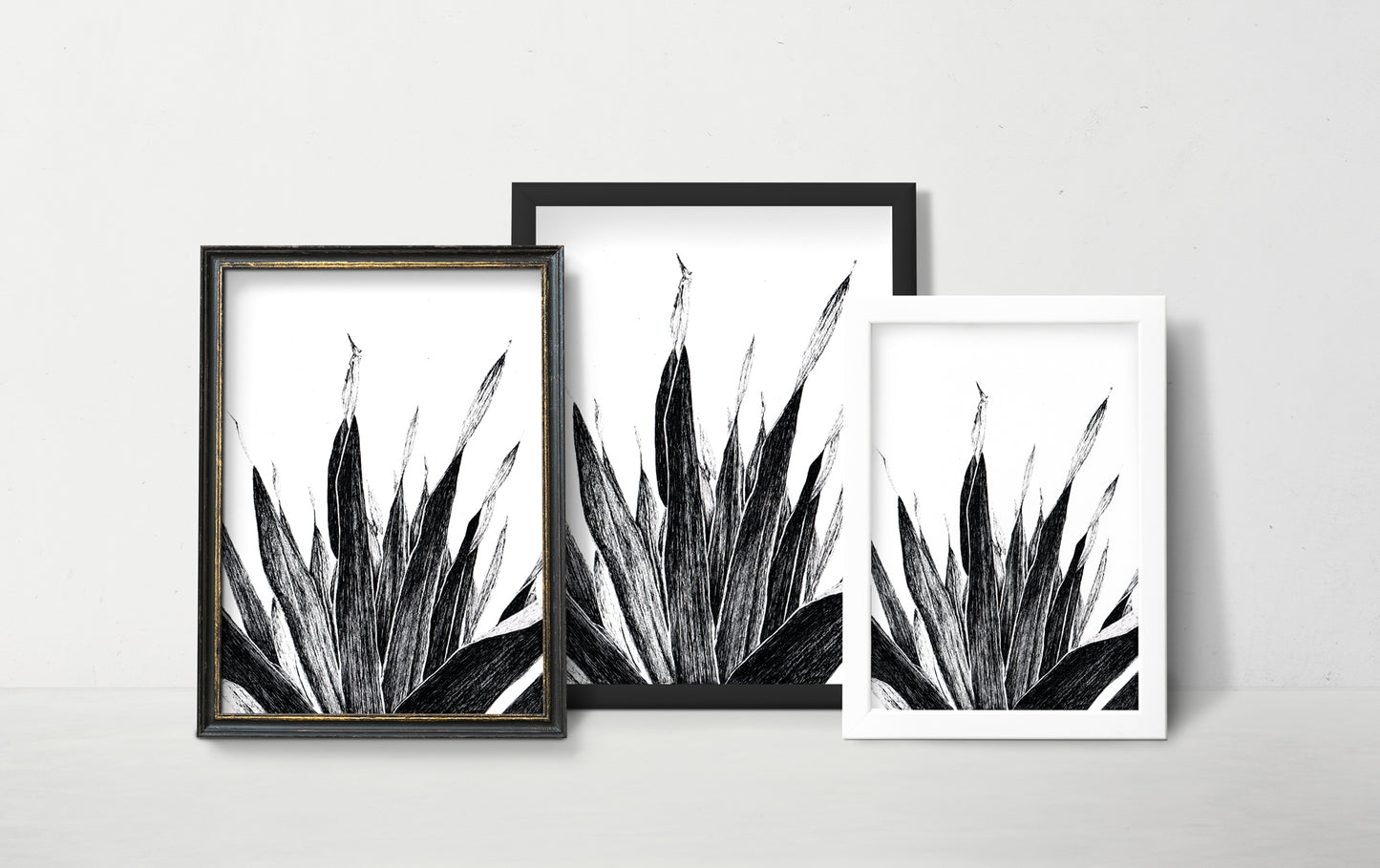 Affiche de plante tropicale, illustration botanique noir et blanc de palmier