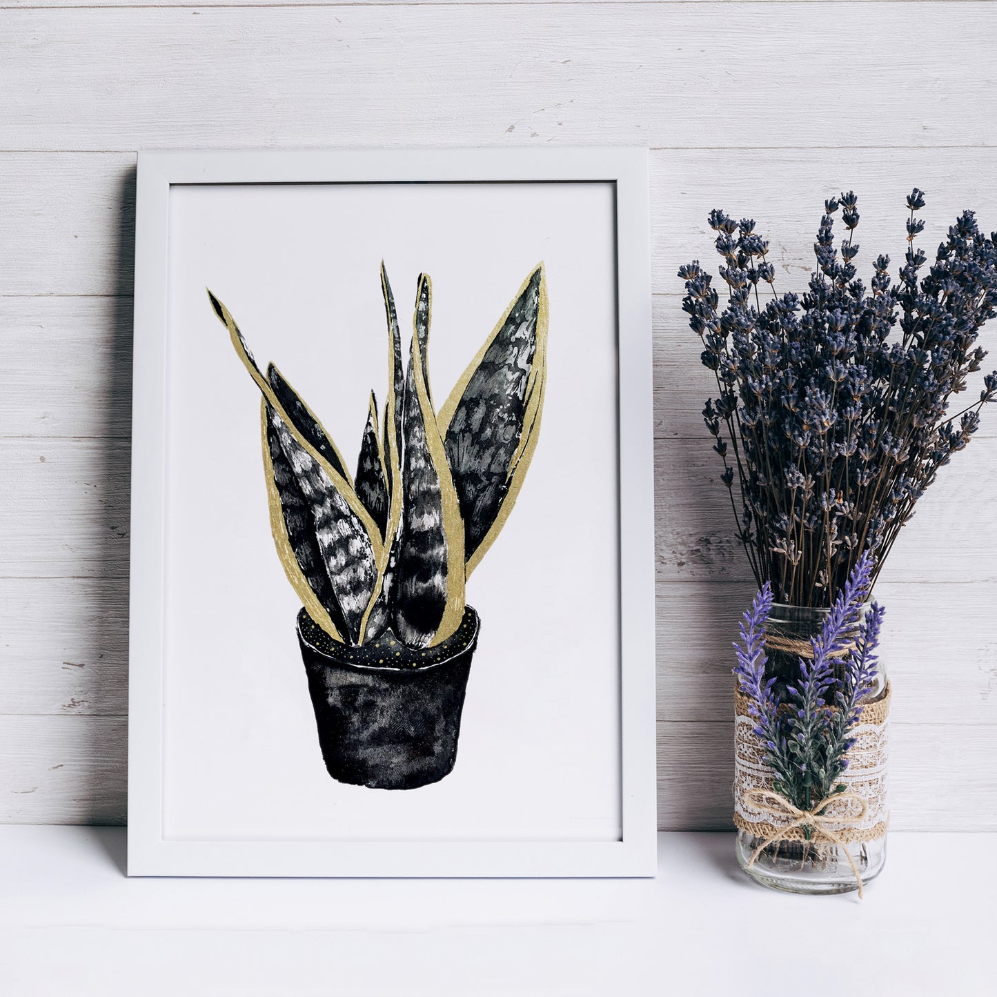Affiche de plante Haworthia, illustration botanique en noir et or