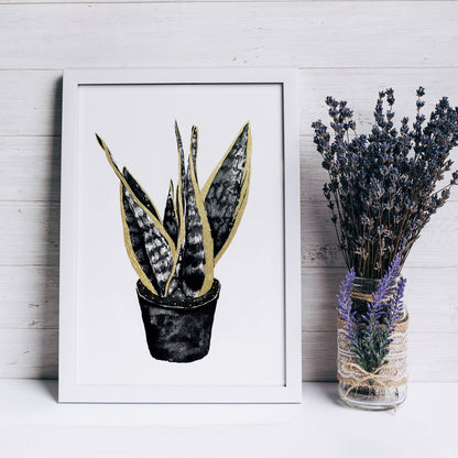 Affiche de plante Haworthia, illustration botanique en noir et or