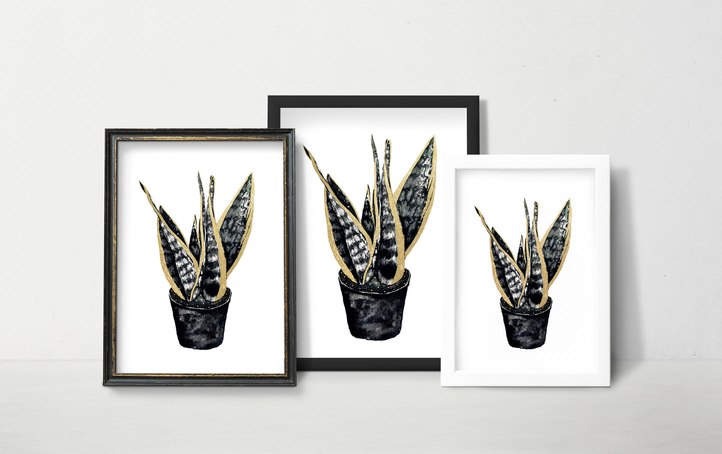 Affiche de plante Haworthia, illustration botanique en noir et or