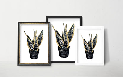 Affiche de plante Haworthia, illustration botanique en noir et or