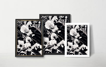 Affiche de fleurs orchidées sauvages, art mural floral noir et blanc