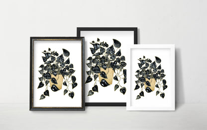 Affiche de plante Pothos, illustration botanique noir et or