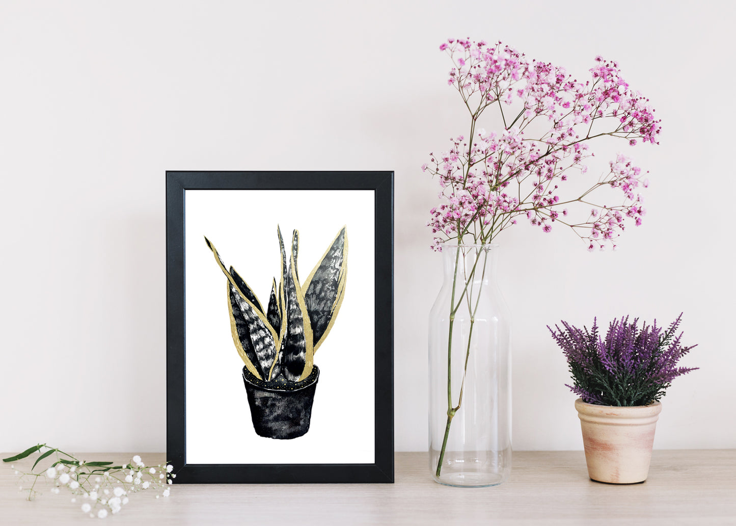 Affiche de plante Haworthia, illustration botanique en noir et or