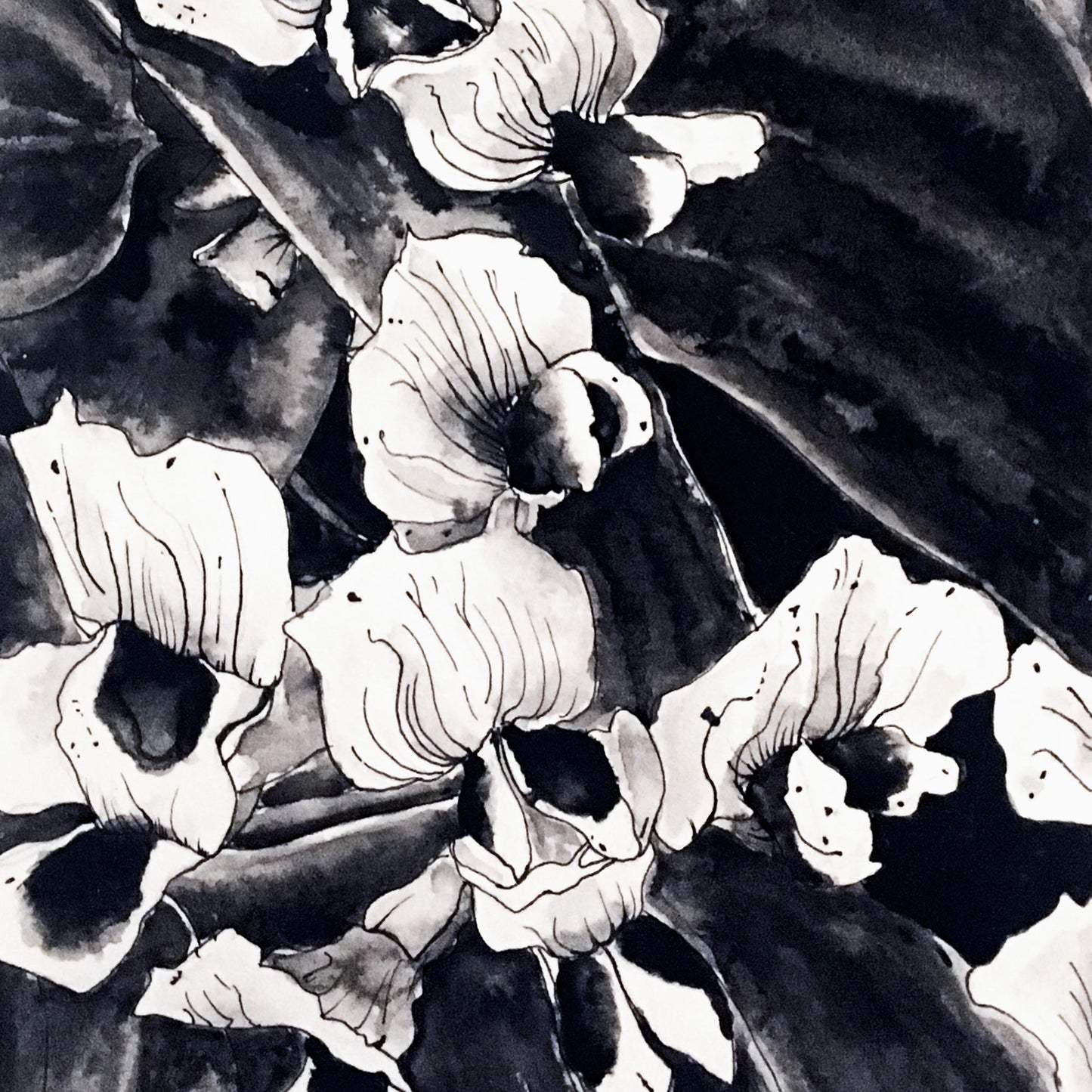 Affiche de fleurs orchidées sauvages, art mural floral noir et blanc