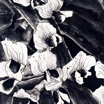 Affiche de fleurs orchidées sauvages, art mural floral noir et blanc