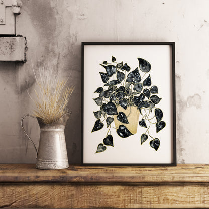 Affiche de plante Pothos, illustration botanique noir et or
