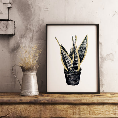 Affiche de plante Haworthia, illustration botanique en noir et or