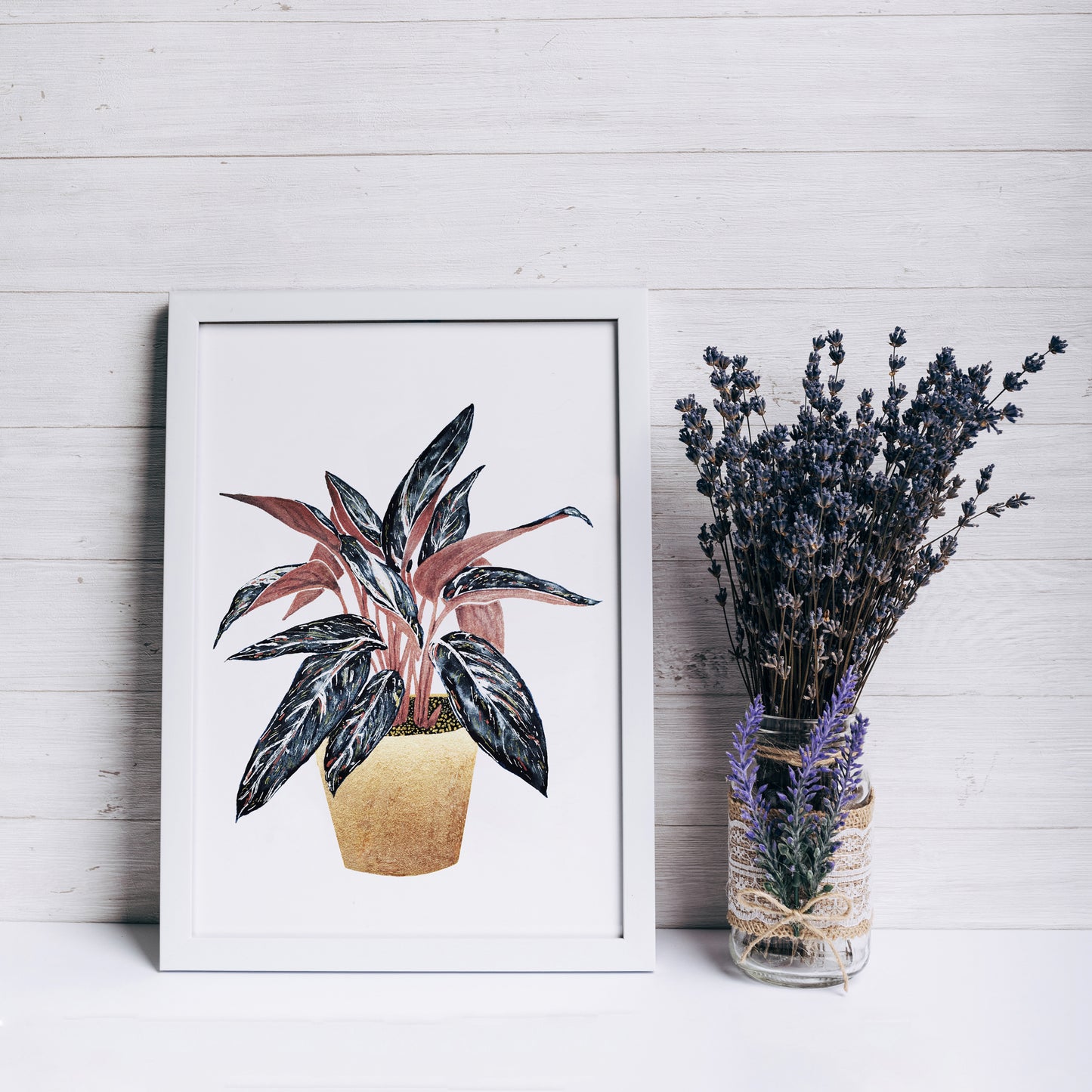 Affiche de plante Stromanthe, illustration botanique colorée
