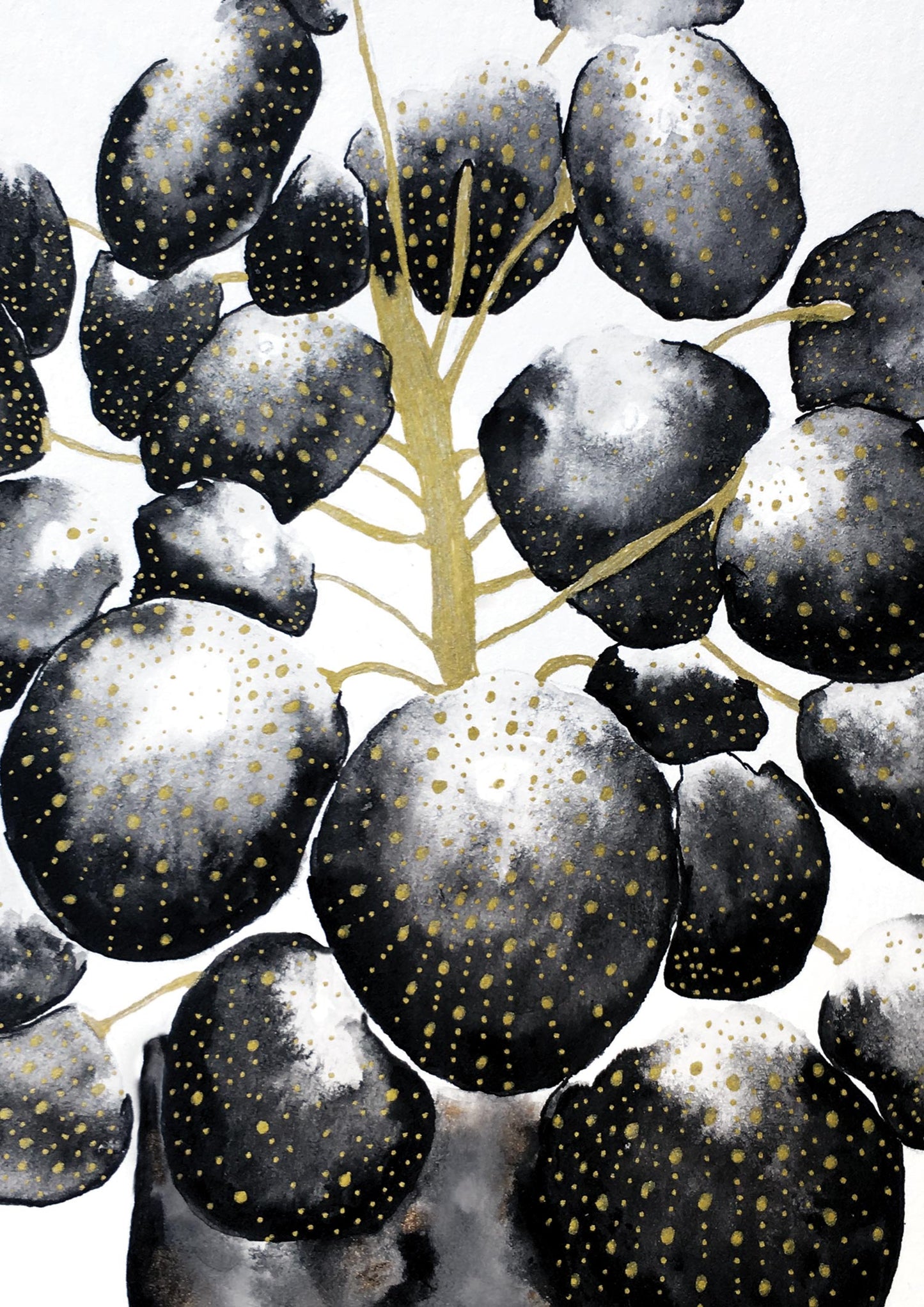 Affiche de plante Pilea, illustration botanique noir et or