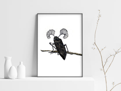 Affiche de Scarabée, Art Mural Insecte