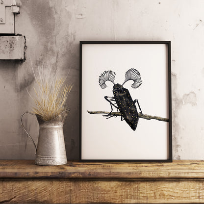 Affiche de Scarabée, Art Mural Insecte