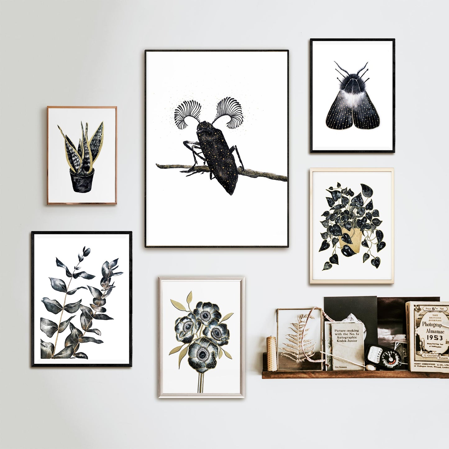 Affiche de Scarabée, Art Mural Insecte