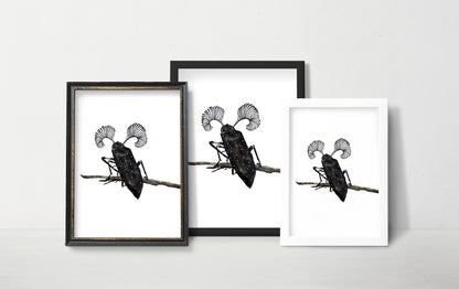 Affiche de Scarabée, Art Mural Insecte