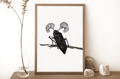 Affiche de Scarabée, Art Mural Insecte