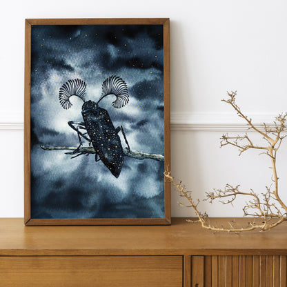 Affiche de Scarabée dans la nuit, Art Mural Insecte