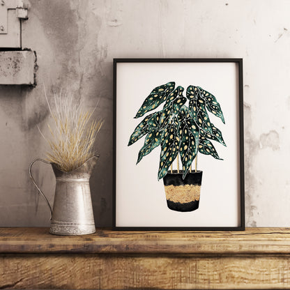 Affiche de plante Chaîne de coeurs, illustration botanique noir et or