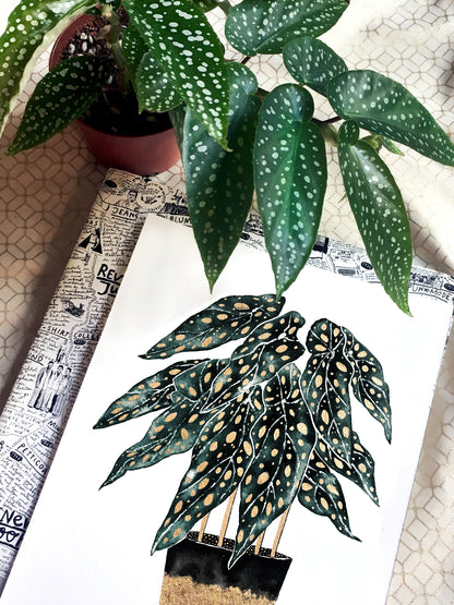 Affiche de plante Chaîne de coeurs, illustration botanique noir et or