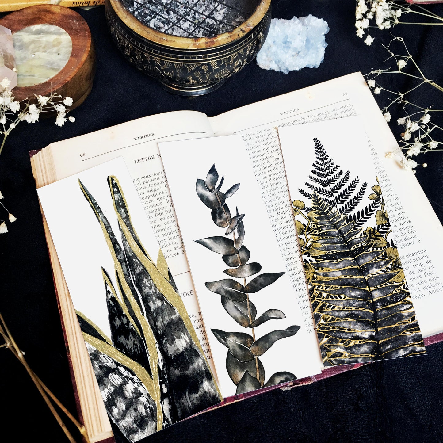 Marque Pages botaniques de plantes noir et or