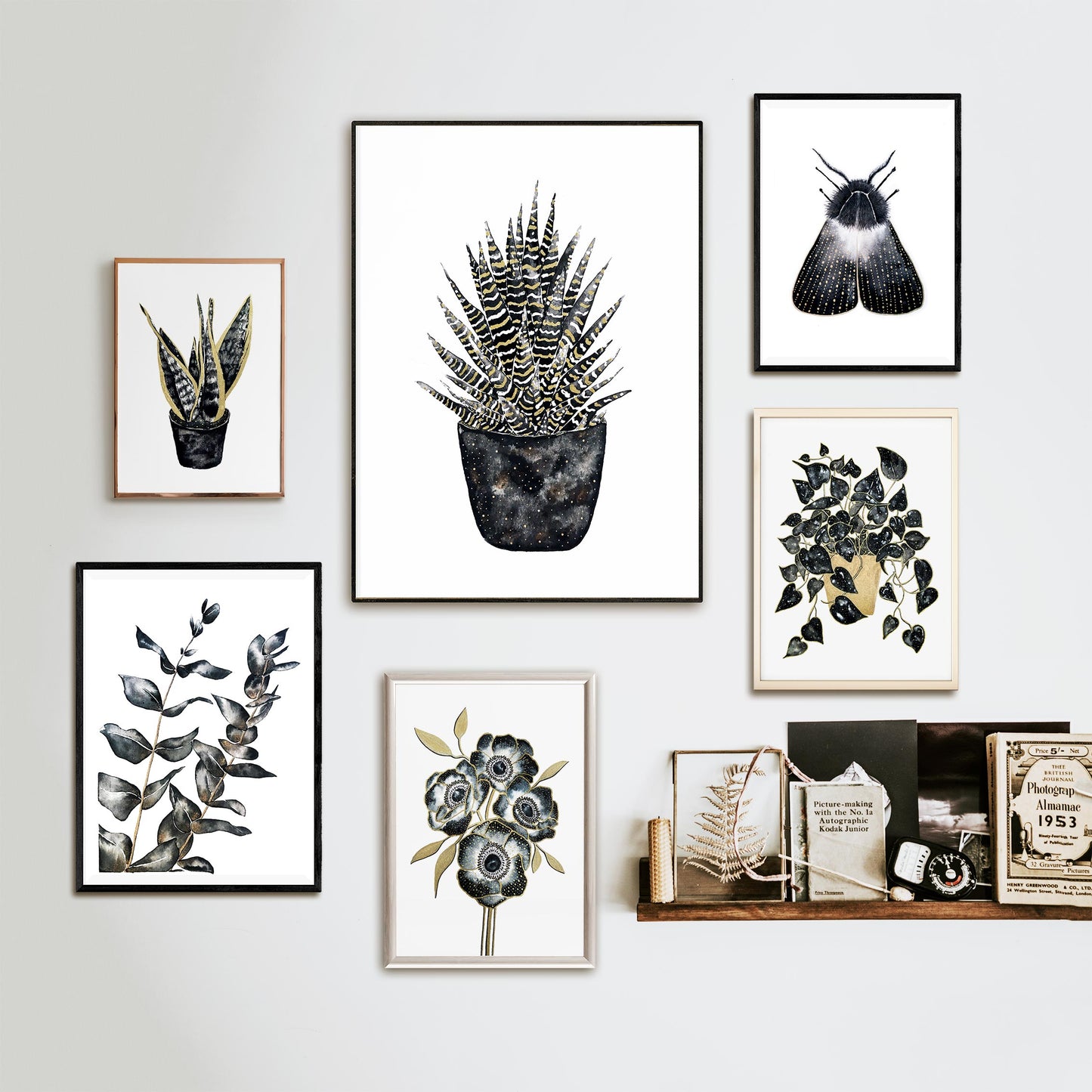 Affiche de plante Sansevieria, illustration botanique noir et or