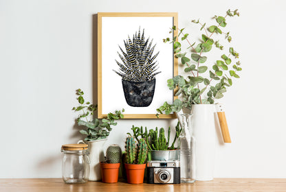 Affiche de plante Sansevieria, illustration botanique noir et or