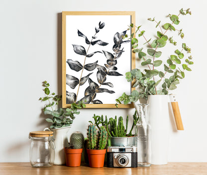 Affiche de plante Eucalyptus, illustration botanique noir et or