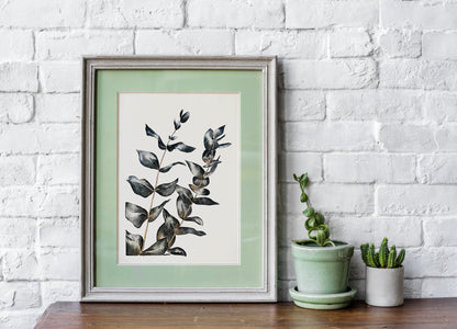 Affiche de plante Eucalyptus, illustration botanique noir et or