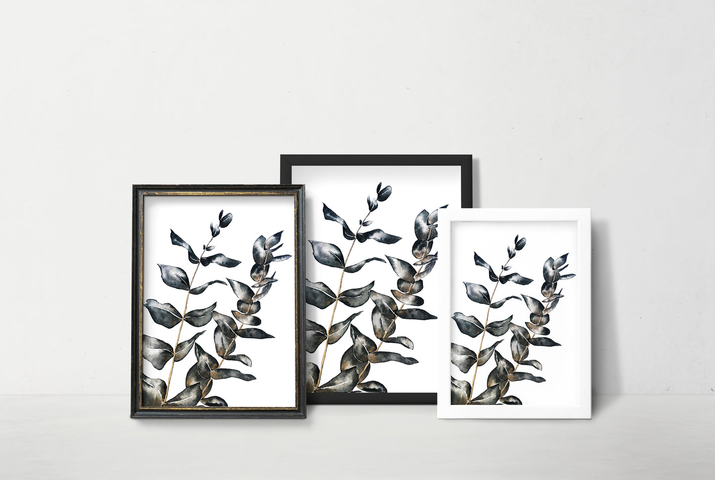 Affiche de plante Eucalyptus, illustration botanique noir et or