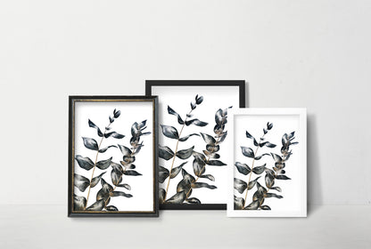 Affiche de plante Eucalyptus, illustration botanique noir et or