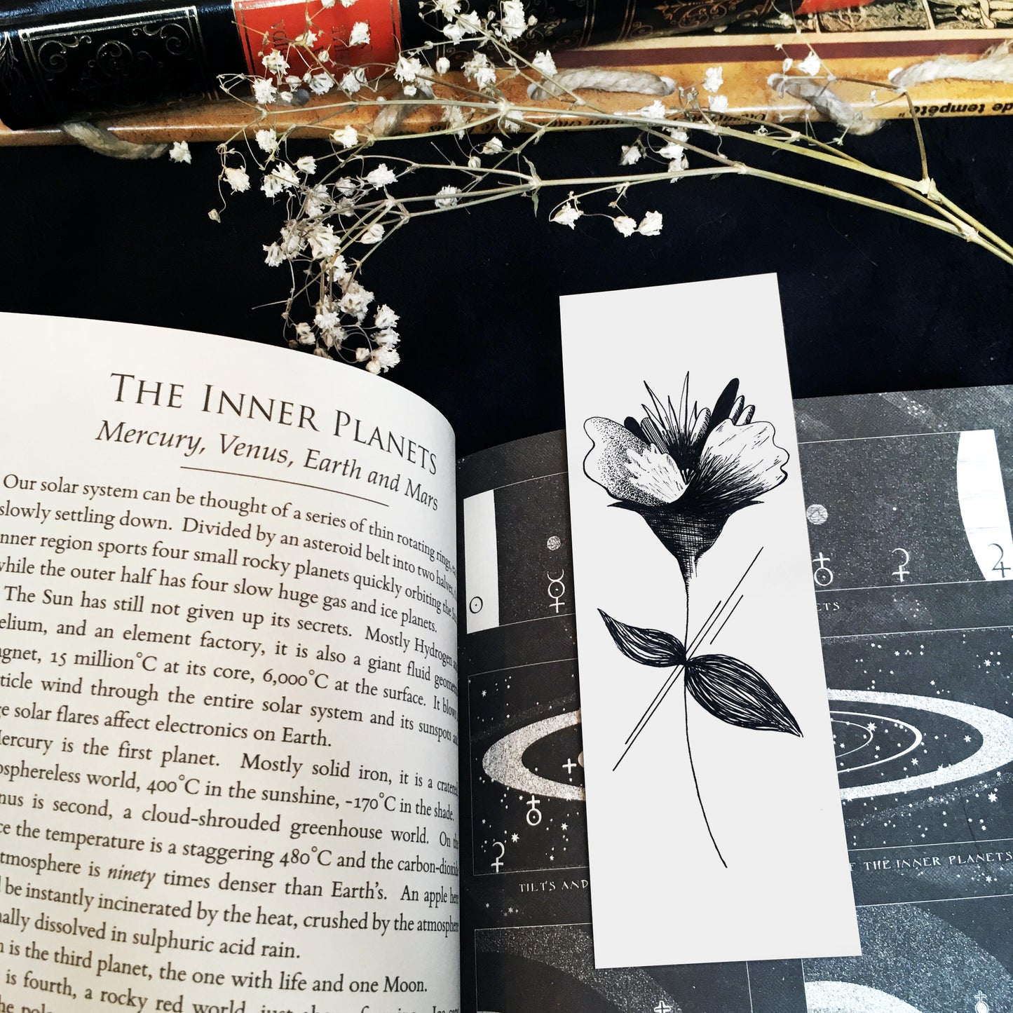Marque Pages botaniques de plantes noir et or
