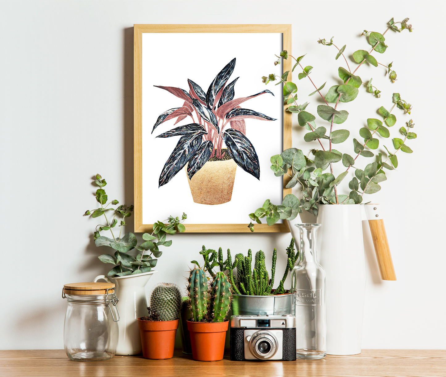 Affiche de plante Stromanthe, illustration botanique colorée