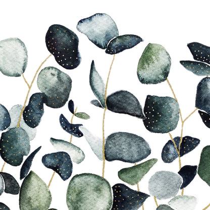 Affiche de plantes Eucalyptus, illustration botanique
