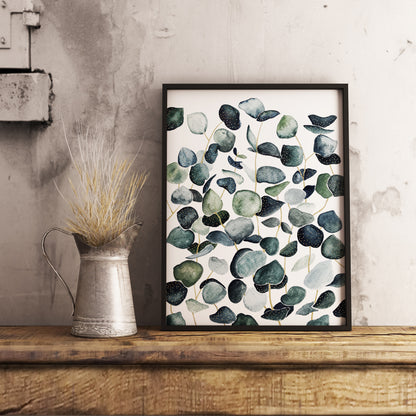 Affiche de plantes Eucalyptus, illustration botanique