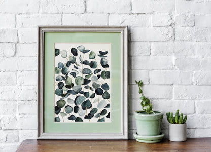 Affiche de plantes Eucalyptus, illustration botanique