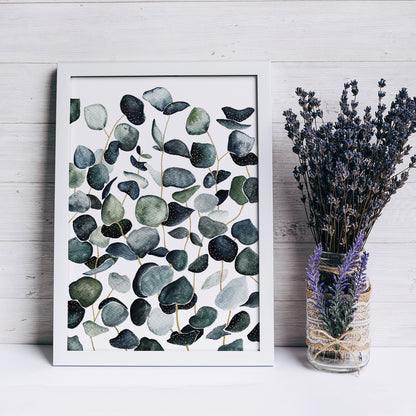 Affiche de plantes Eucalyptus, illustration botanique