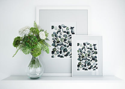 Affiche de plantes Eucalyptus, illustration botanique