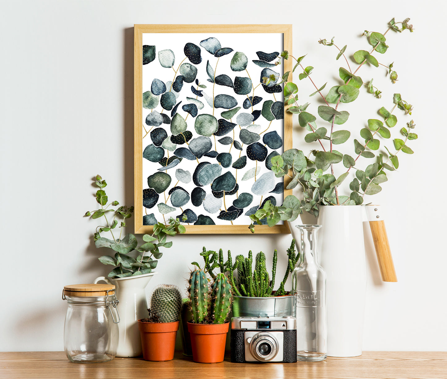 Affiche de plantes Eucalyptus, illustration botanique
