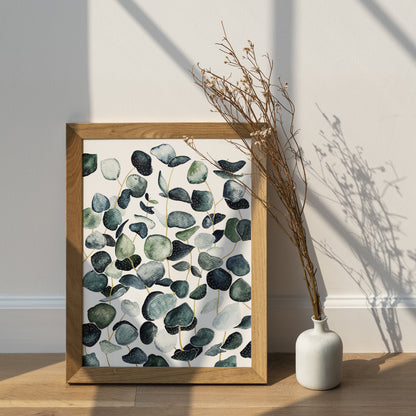 Affiche de plantes Eucalyptus, illustration botanique