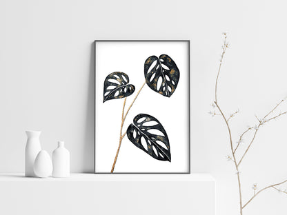 Affiche de Plante Monstera Adansonii noir et or, illustration Botanique