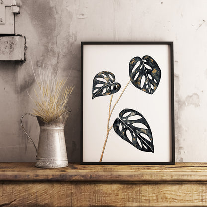Affiche de Plante Monstera Adansonii noir et or, illustration Botanique