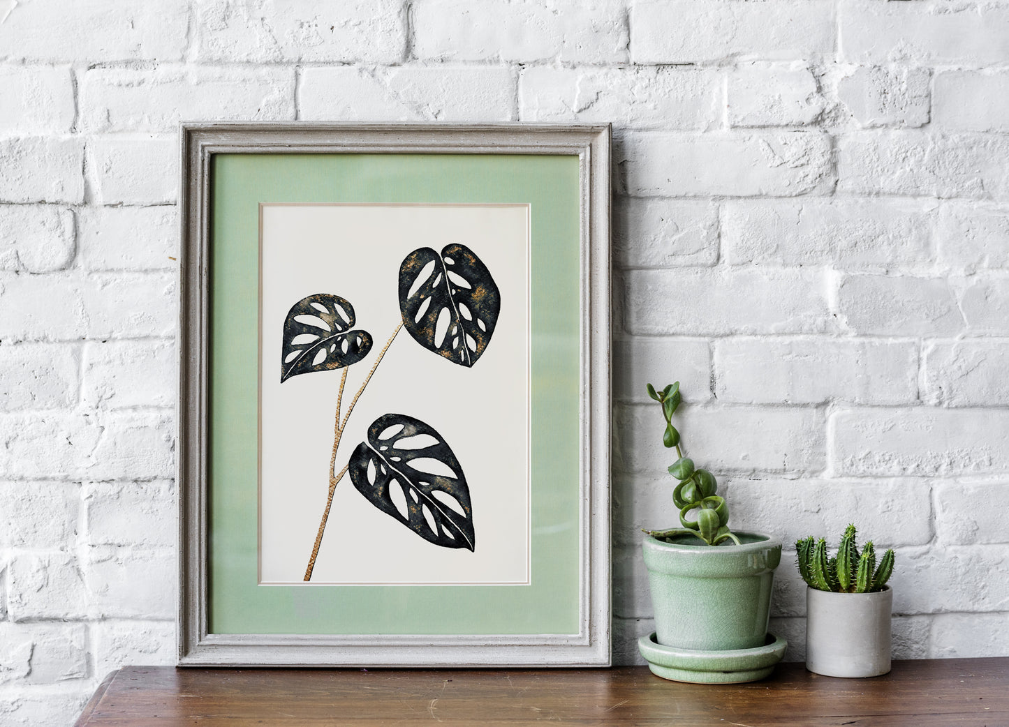 Affiche de Plante Monstera Adansonii noir et or, illustration Botanique