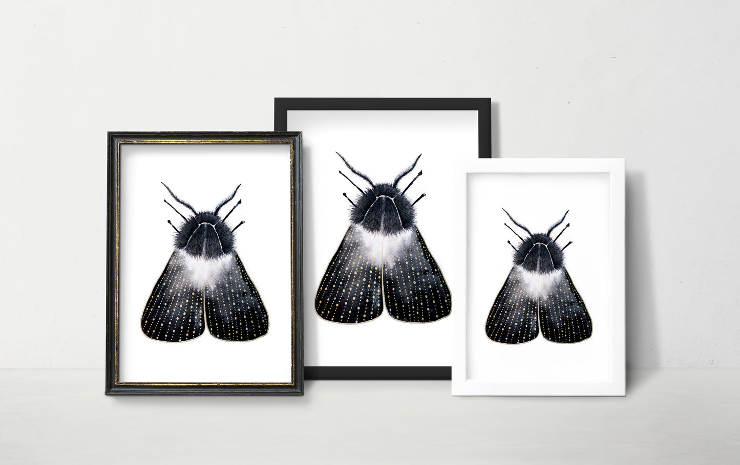 Affiche de Papillon de Nuit or et noir, Illustration d'insecte